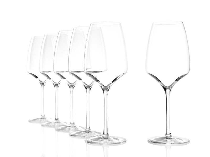 Experience Red Wine 450ml  Set 6