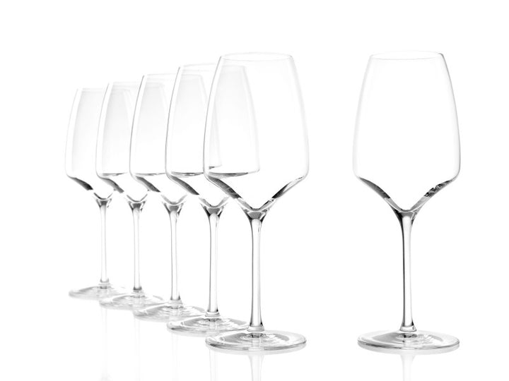 Experience Red Wine 450ml  Set 6