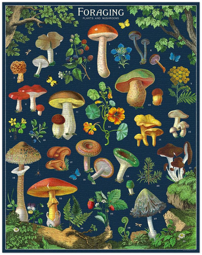 Foraging 1000 Pce - Vintage Puzzle