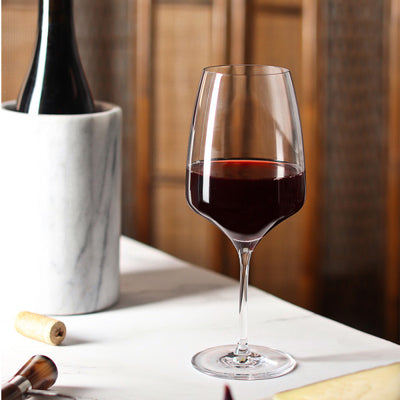 Experience Red Wine 450ml  Set 6