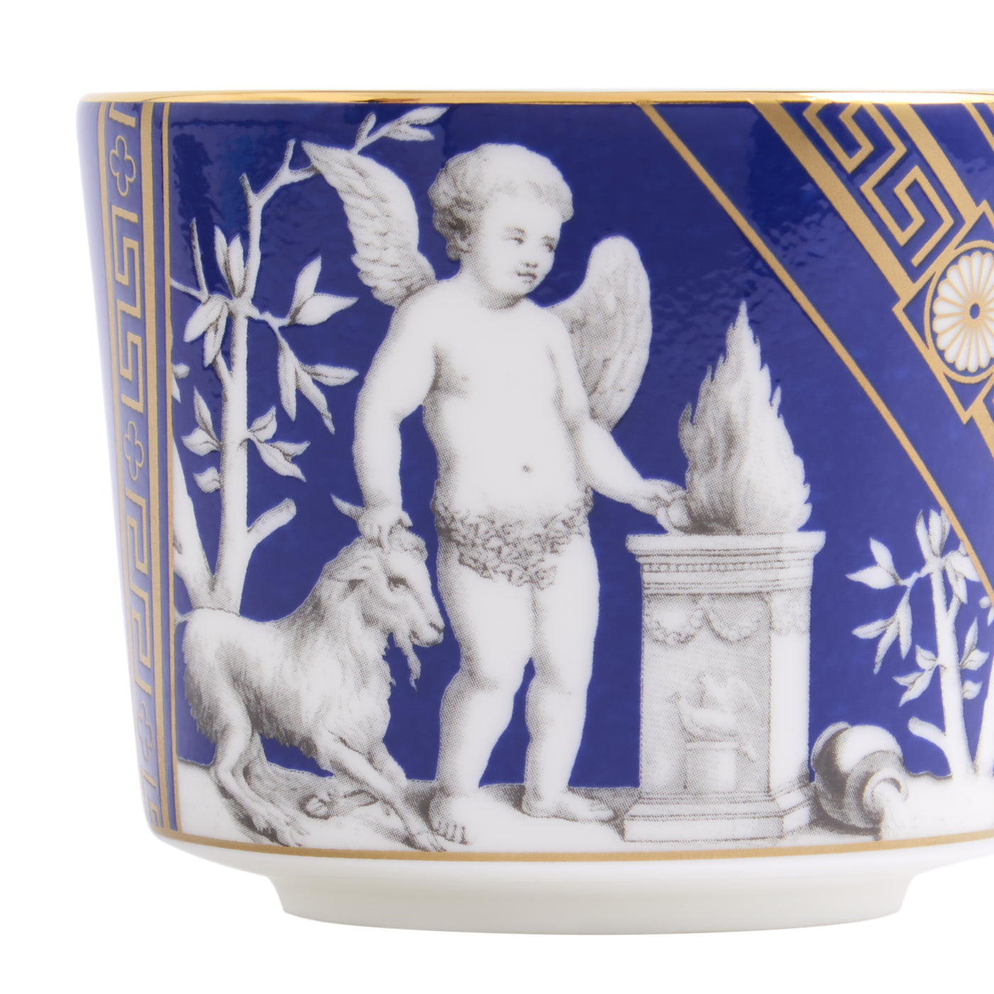 Wedgwood Renaissance Accents Gold Teacup & Saucer