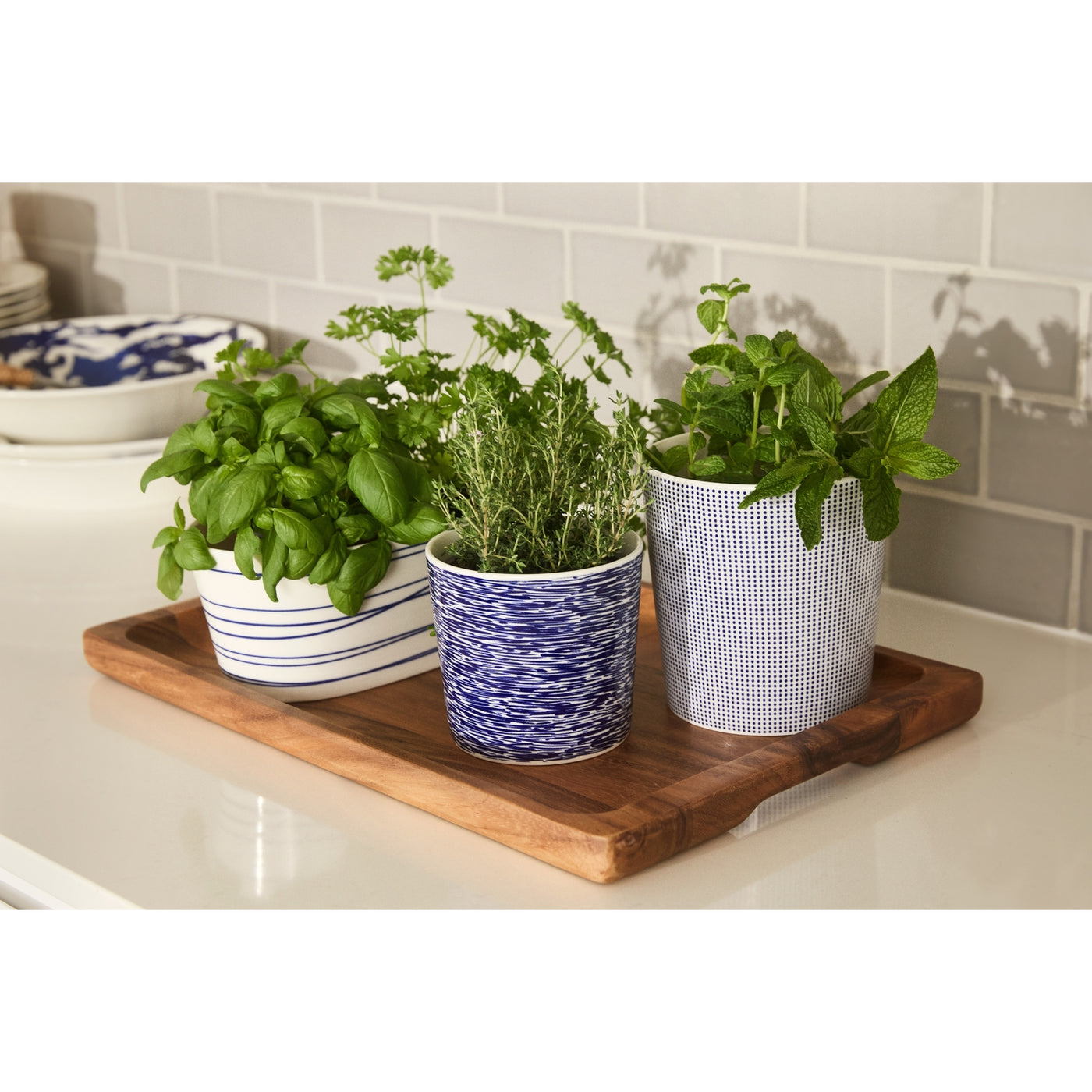 Royal Doulton Pacific 10th Anniversary Small Planter 14cm Blue