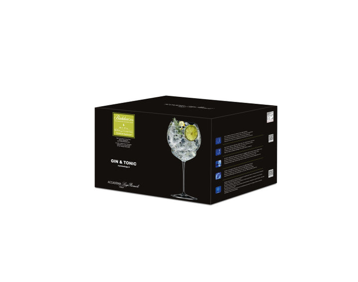 Backdoor20s Gin & Tonic 800ml - Set 4
