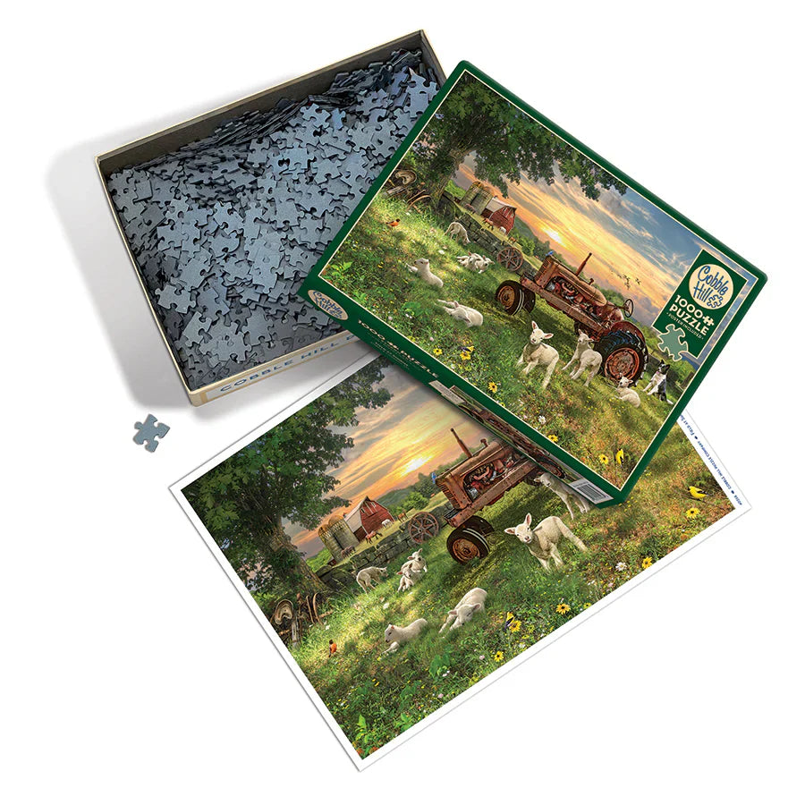 Field at Sunrise - 1000 piece puzzle