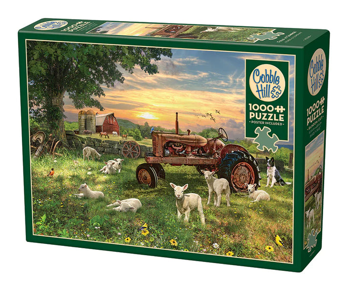 Field at Sunrise - 1000 piece puzzle