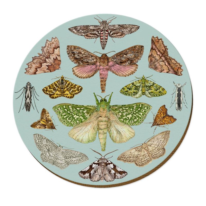 NZ Moths - Placemat