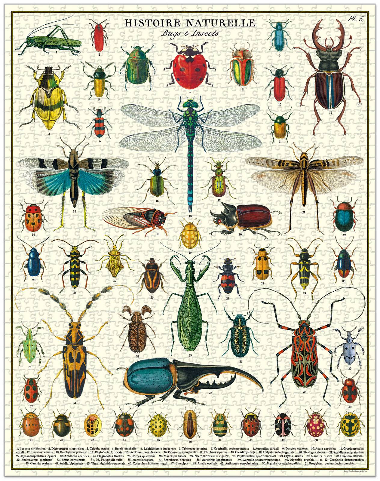 Bugs Vintage Puzzle - 1000 pieces