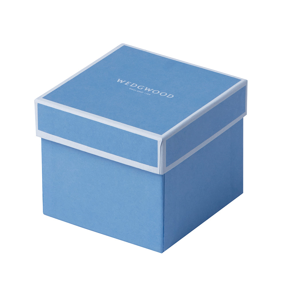 Hibiscus Teacup & Saucer