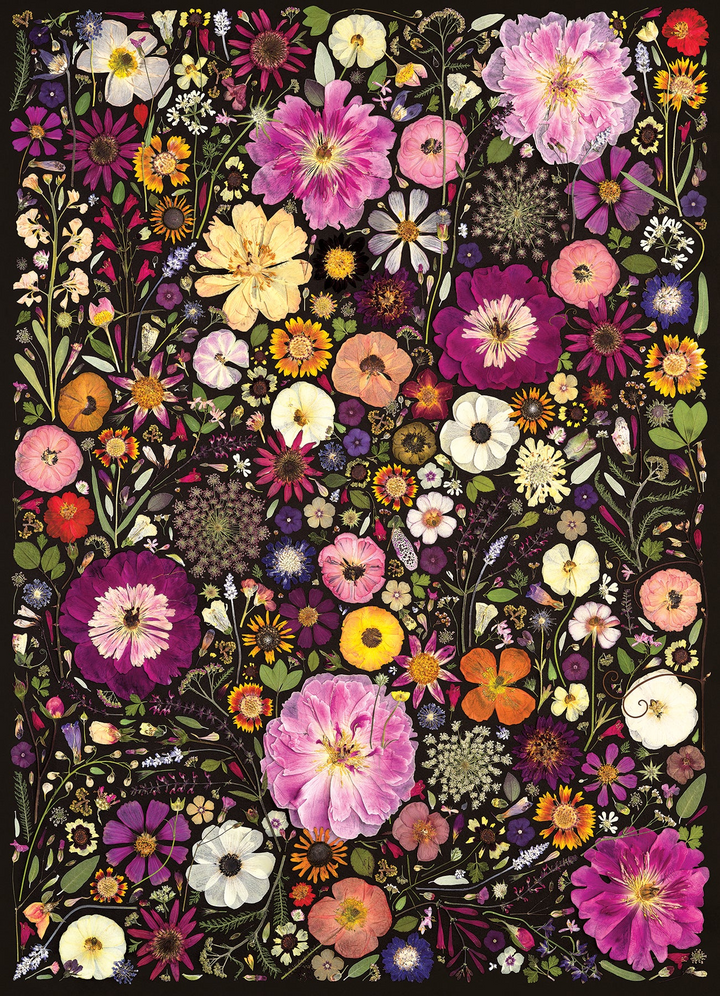 Flower Press: Little Hollow & Red Daisy, 500pcs jigsaw puzzle