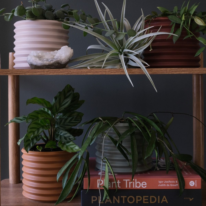 Small Berlin Planter Cinnamon