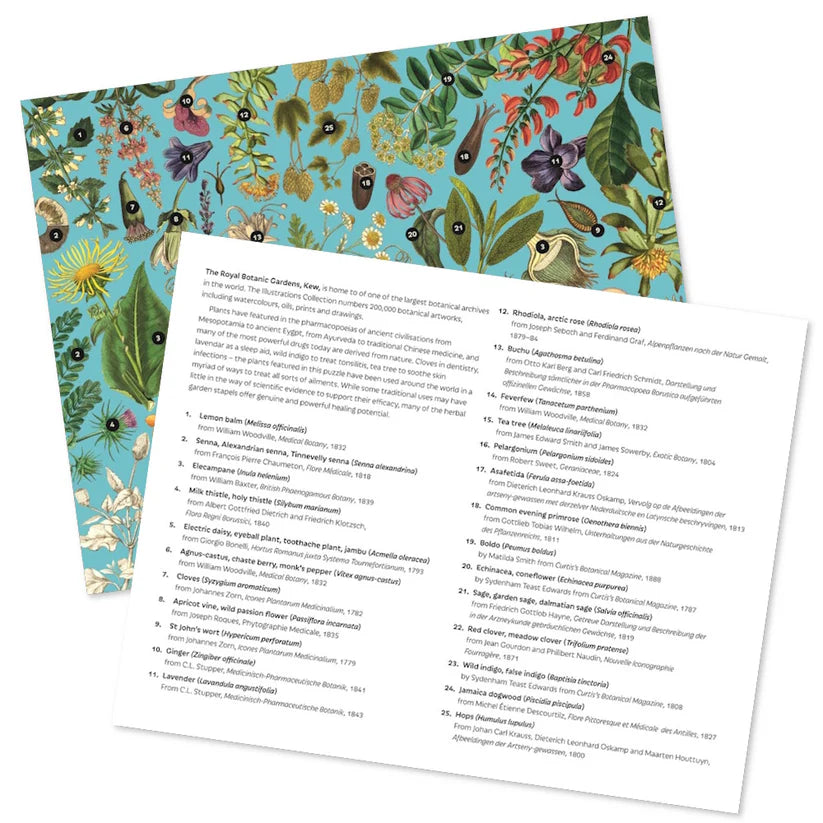 Healing Plants - 1000 Piece Jigsaw Puzzle