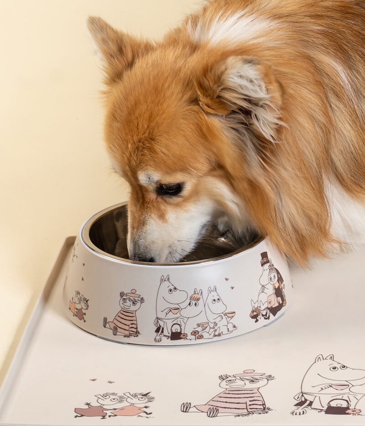 Moomin For Pets Food Bowl Moments L