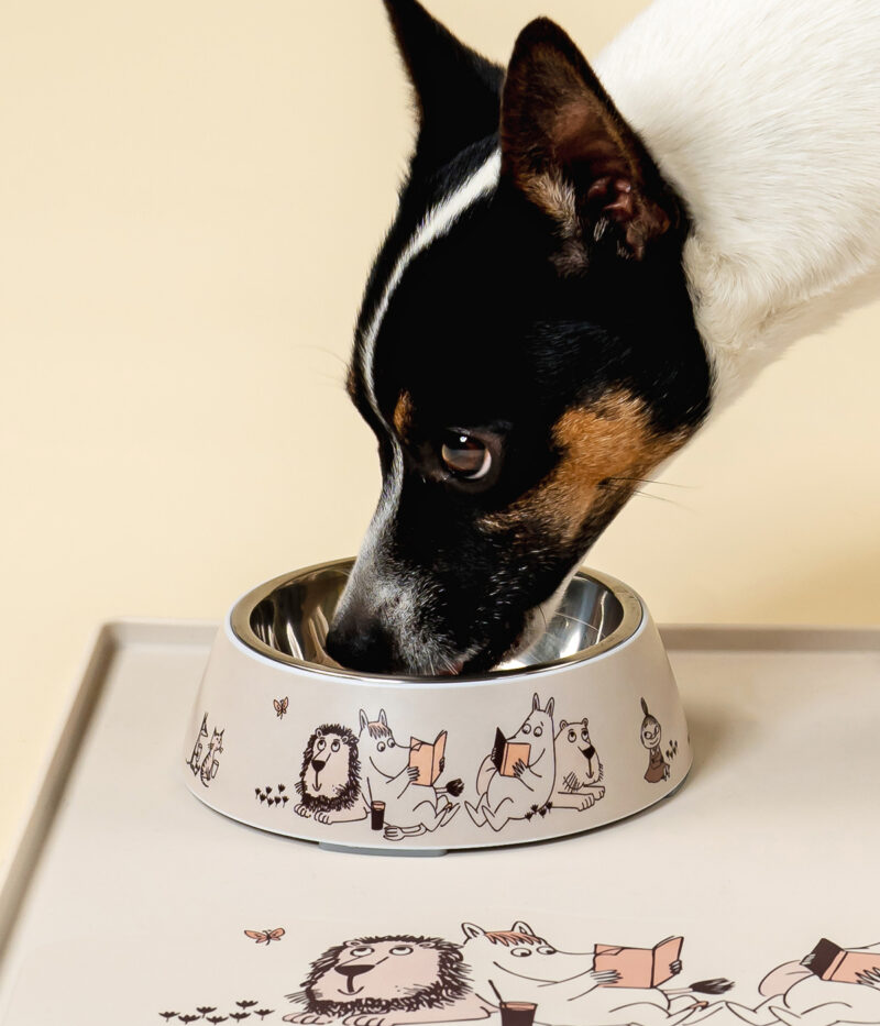Moomin For Pets Food Bowl Moments S