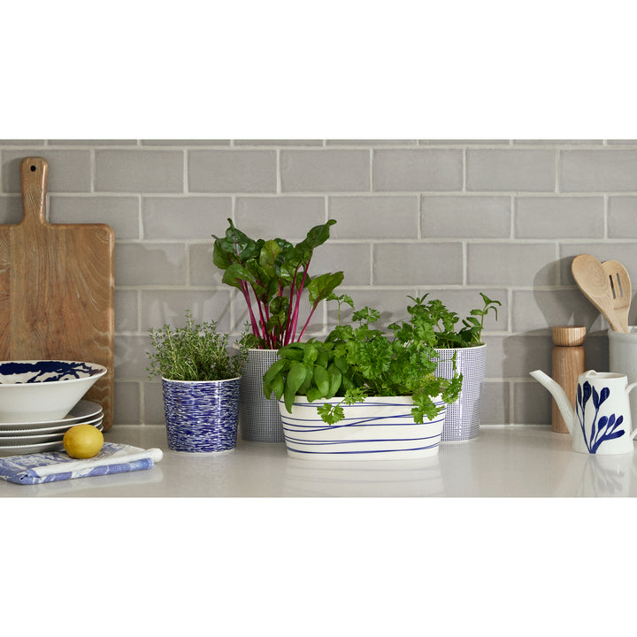 Royal Doulton Pacific 10th Anniversary Herb Planter Blue