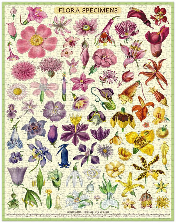Flora Specimens 1000 Pce - Vintage Puzzle