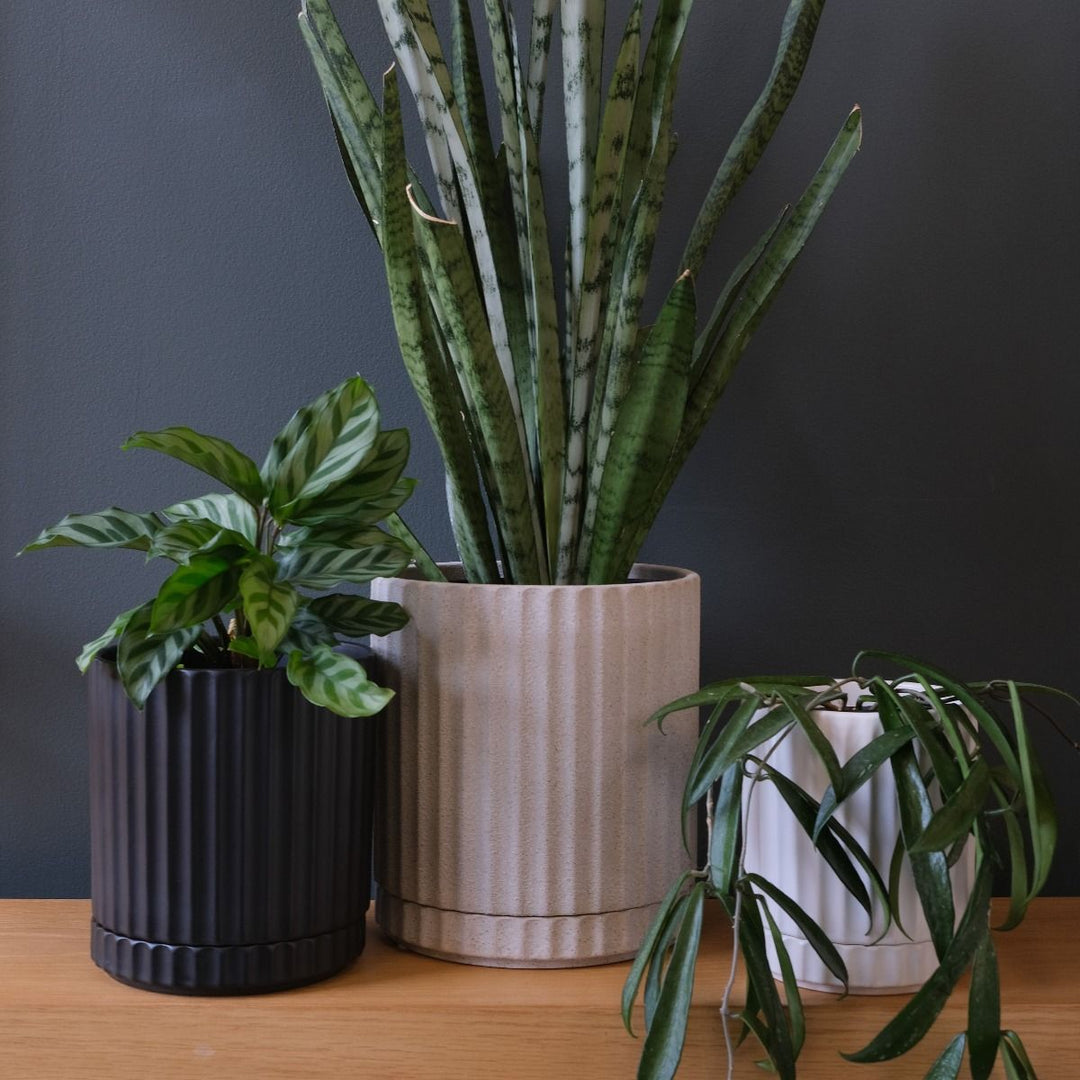 Large Athens Planter White