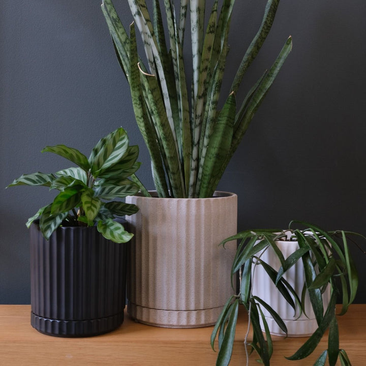 Medium Athens Planter Black