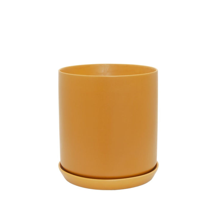 XL Oslo Planter Tobacco