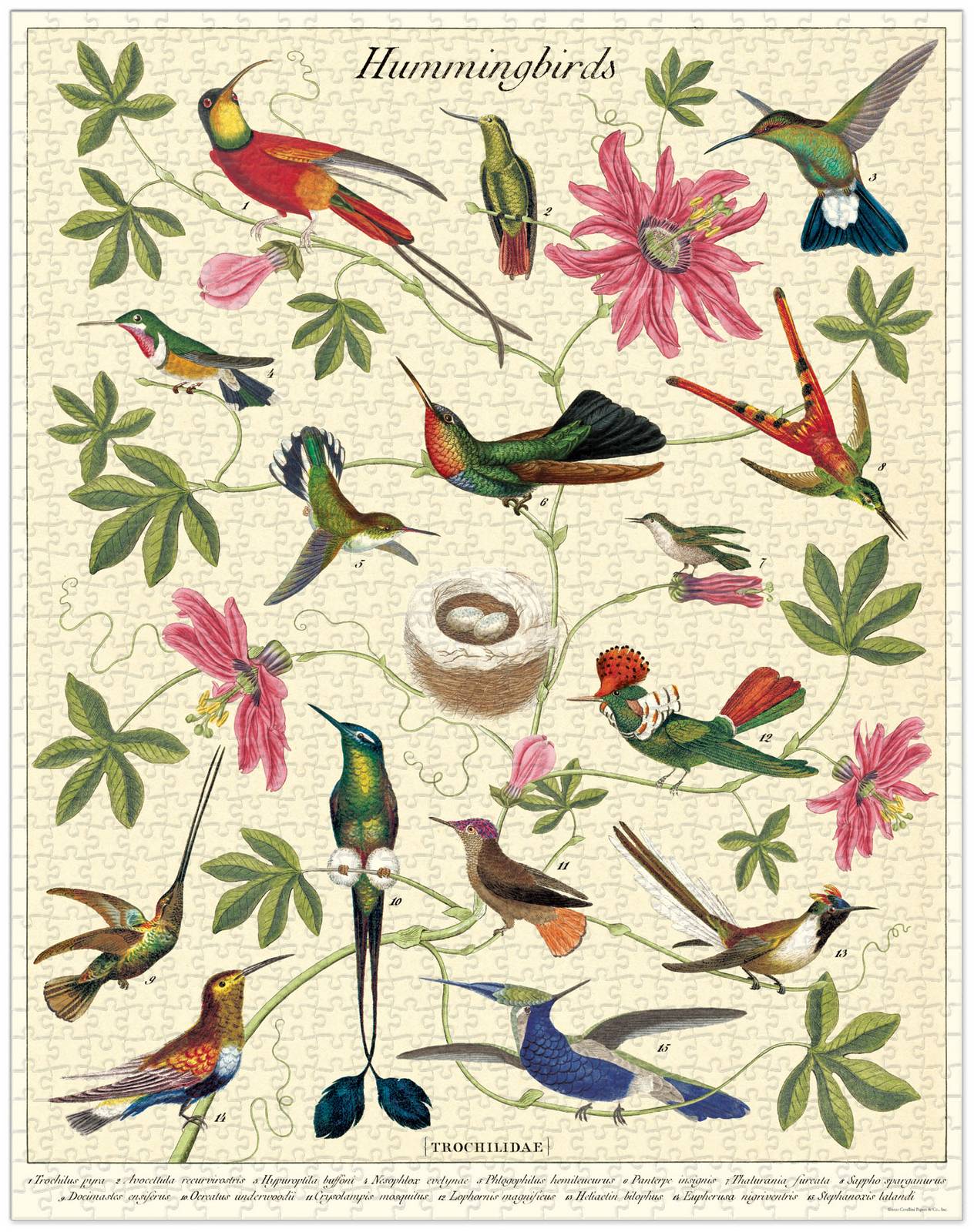 Hummingbirds Vintage Puzzle - 1000 piece