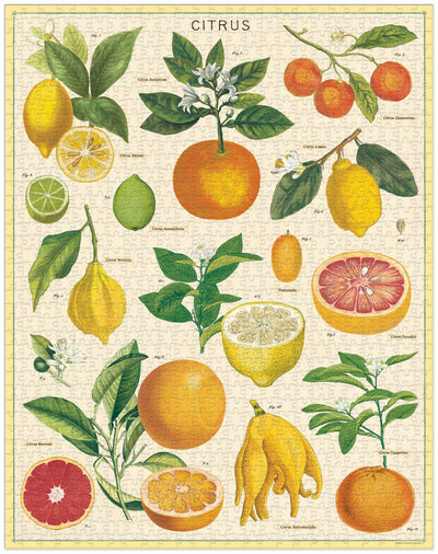 Citrus Vintage Puzzle - 1000 piece
