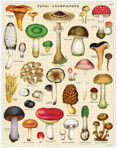 Mushrooms Vintage Puzzle - 1000 pieces