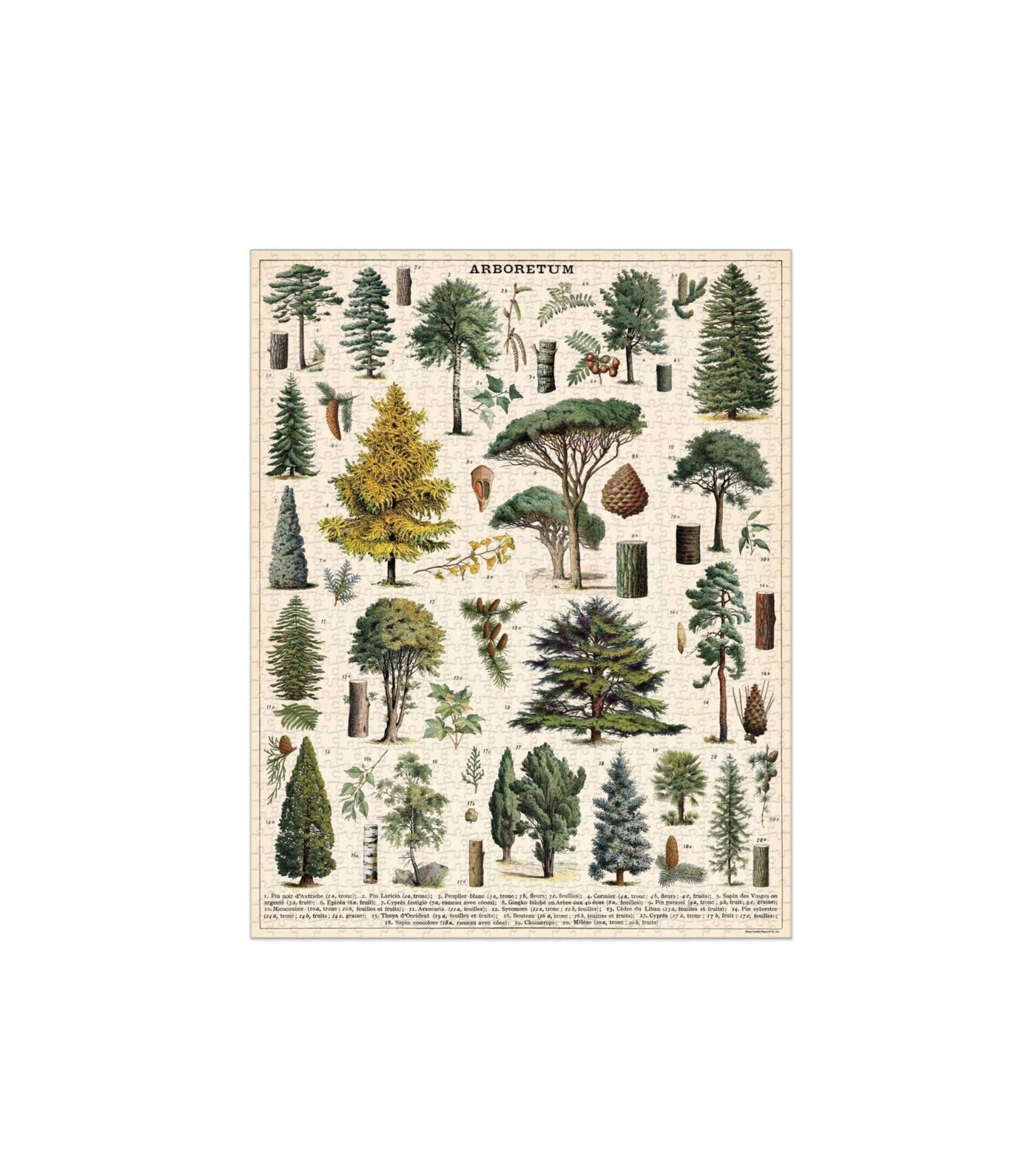 Cavallini & Co. Arboretum Vintage Puzzle - 1000 pieces