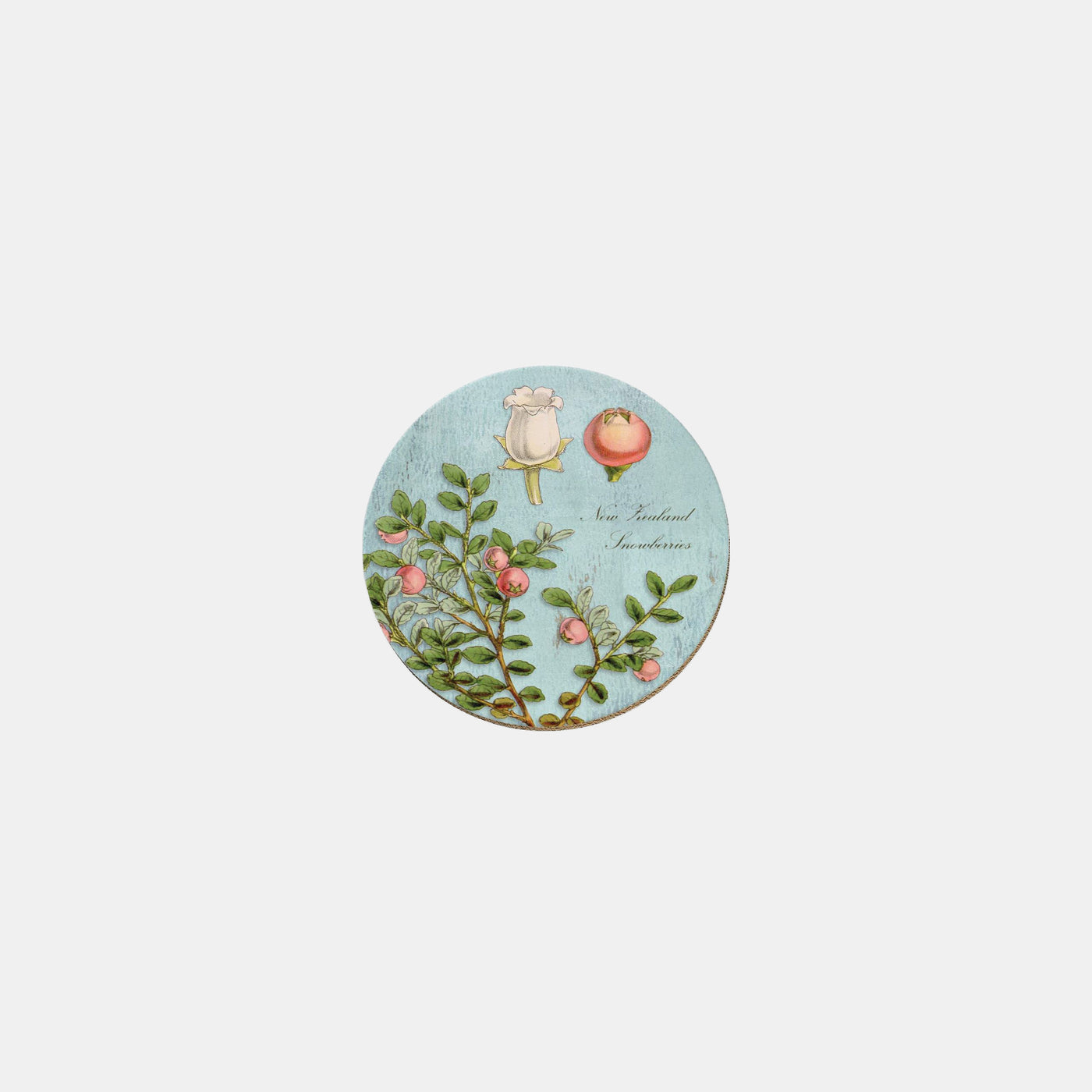 Snowberries - Coaster