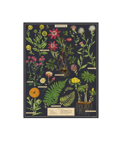 Cavallini & Co. Herbarium Vintage Puzzle - 1000 pieces
