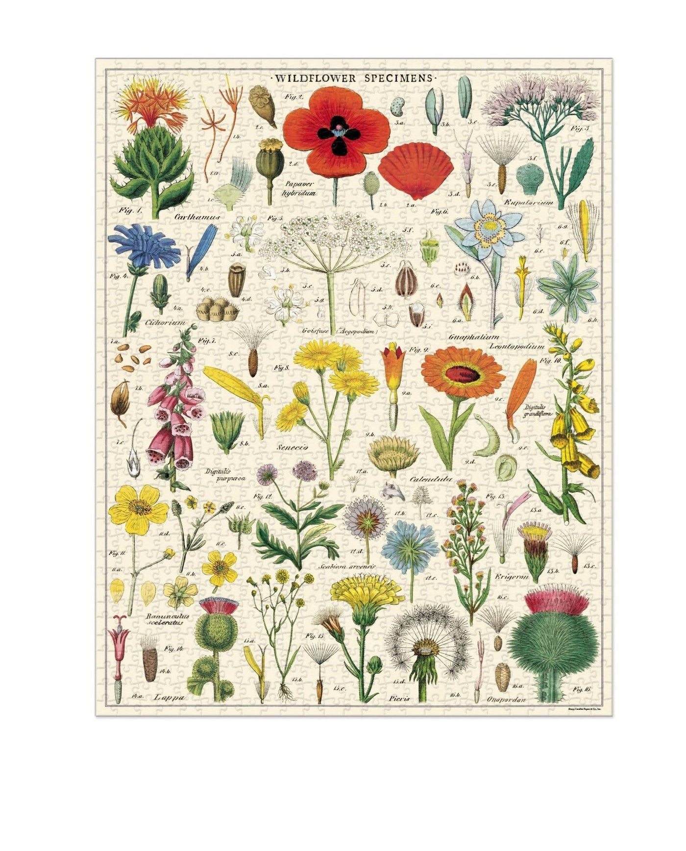 Cavallini & Co. Wildflowers Vintage Puzzle - 1000 pieces