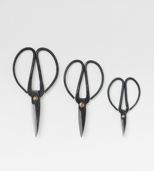 Herb Scissors - Set of 3