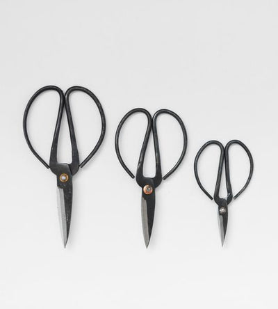 Herb Scissors - Set of 3