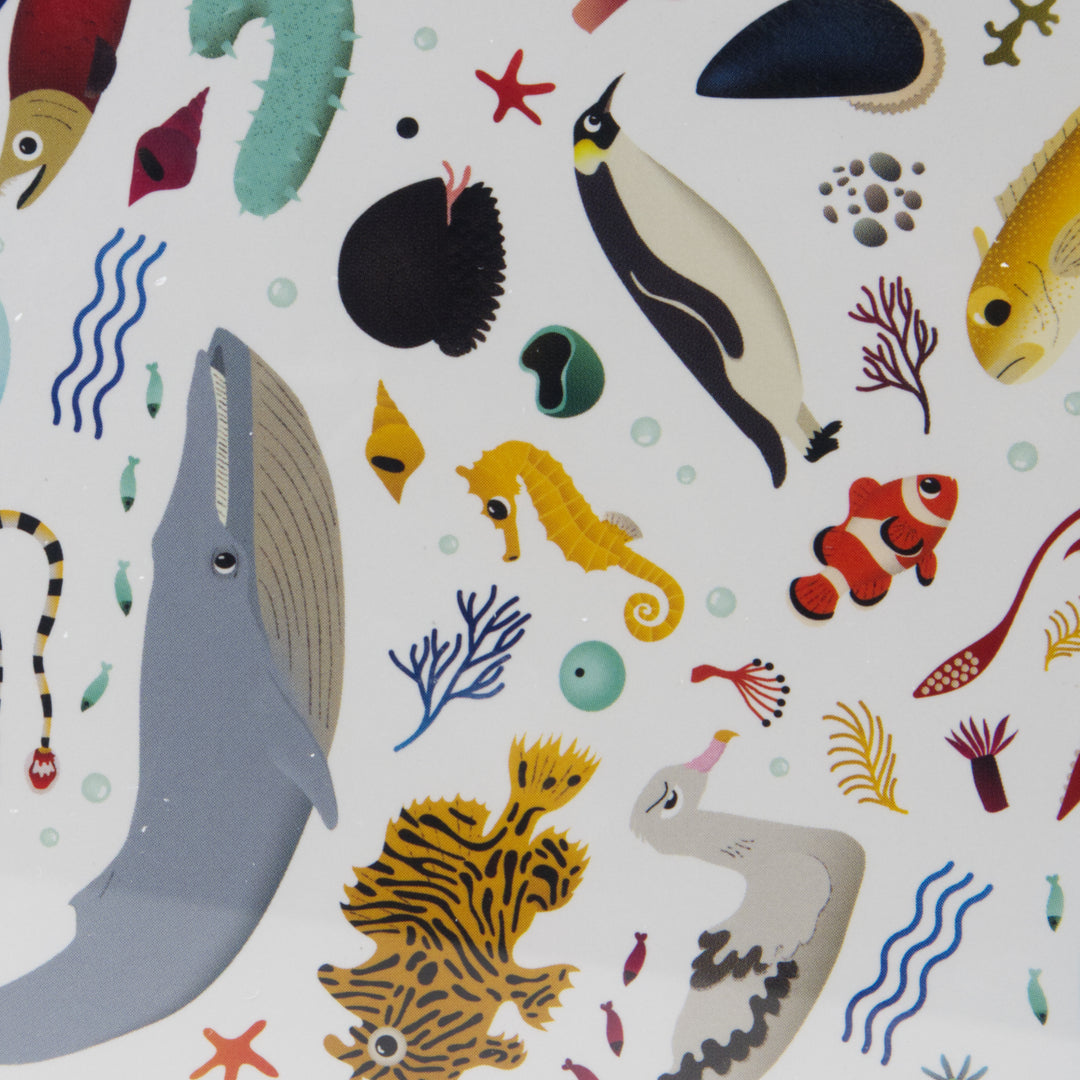 I Saw It First! Ocean