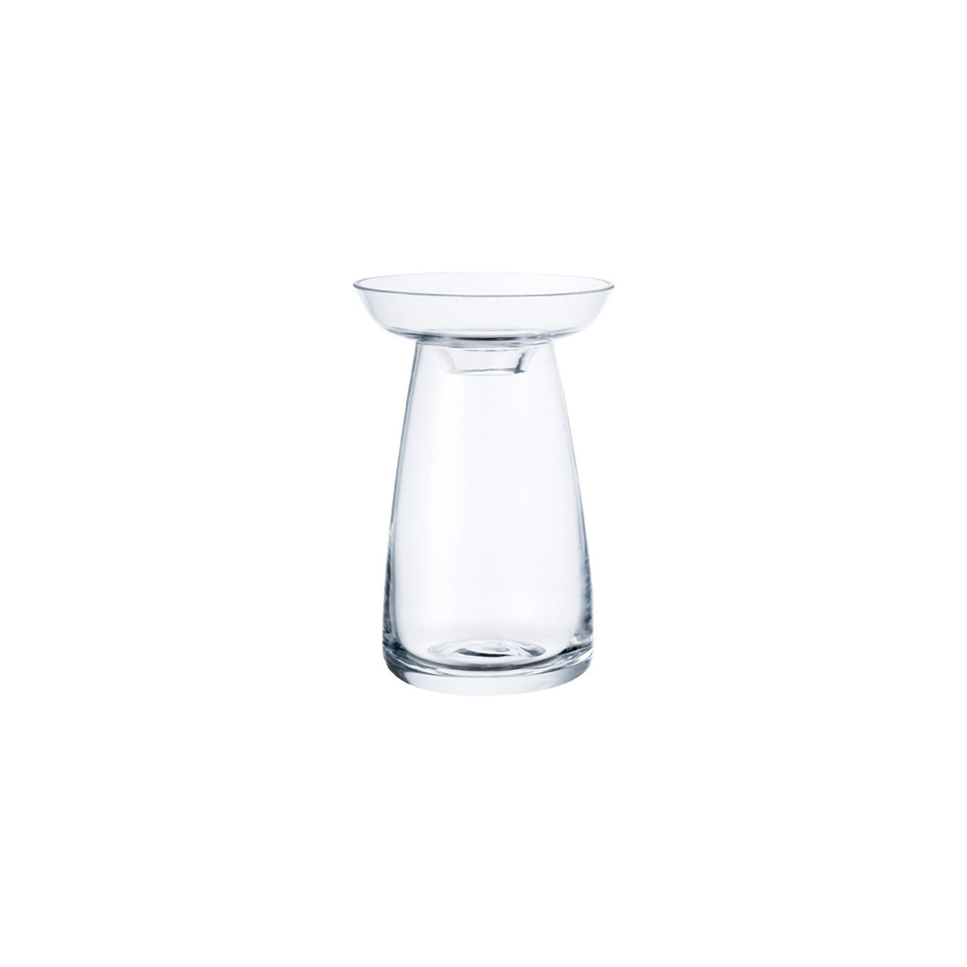 Aqua Culture Vase - Small/Clear
