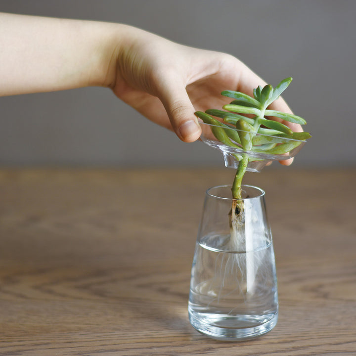 Aqua Culture Vase - Small/Clear