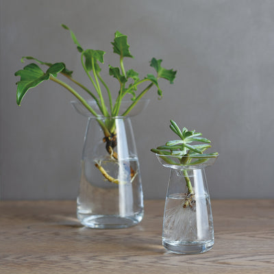 Aqua Culture Vase - Small/Clear