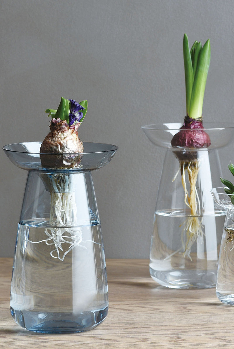 Aqua Culture Vase - Small - Blue