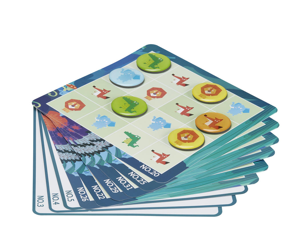 Magnetic Sudoku- Starter Kit