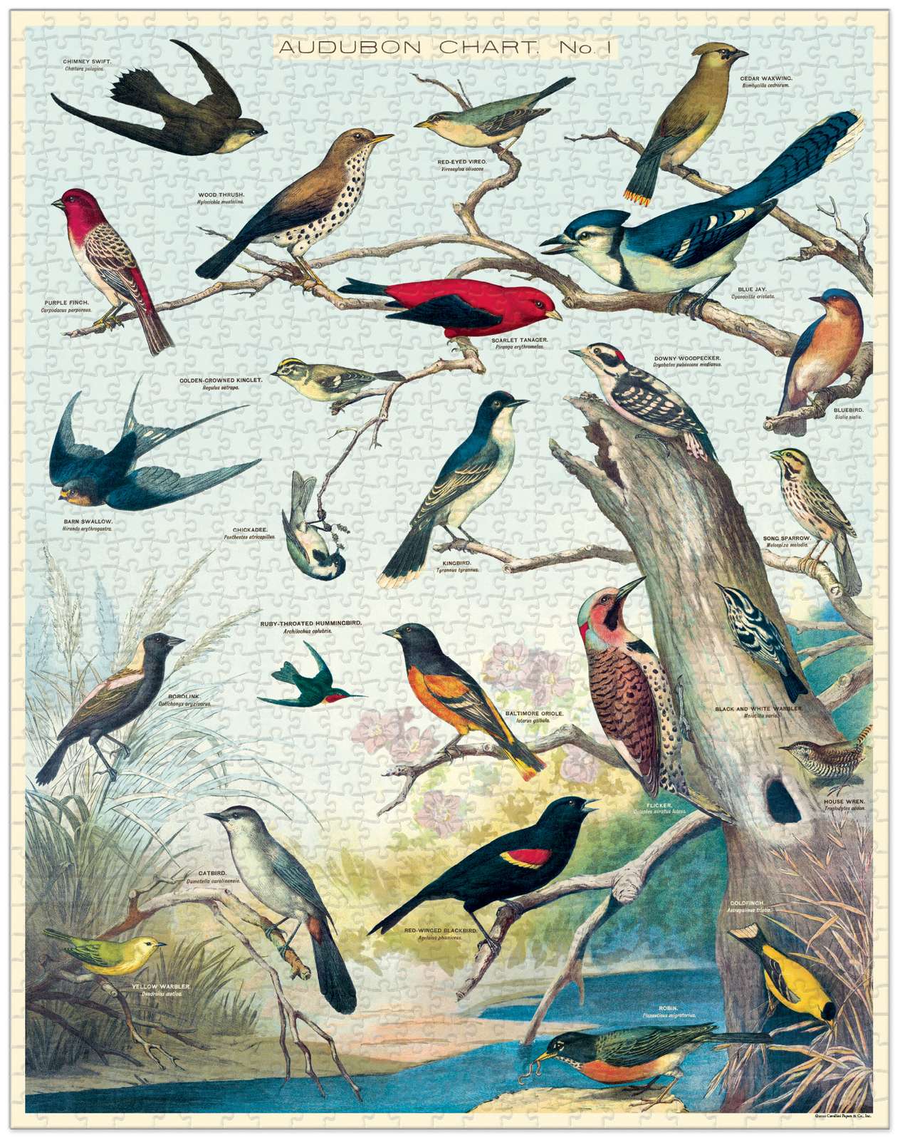 Bird Vintage Puzzle - 1000 pieces