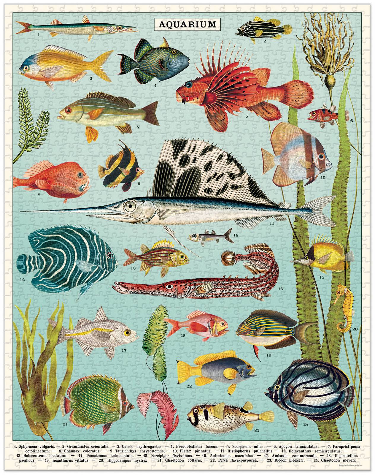 Aquarium Vintage Puzzle - 1000 pieces