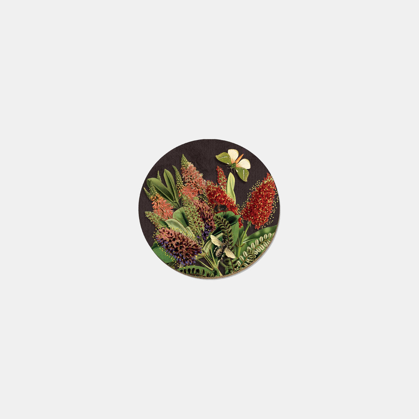 Hebe & Moth - Coaster