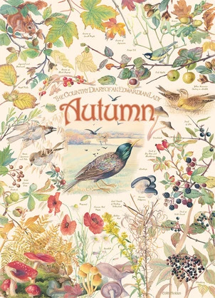 Autumn Jigsaw puzzle 1000pc - The Country Diary of an Edwardian Lady
