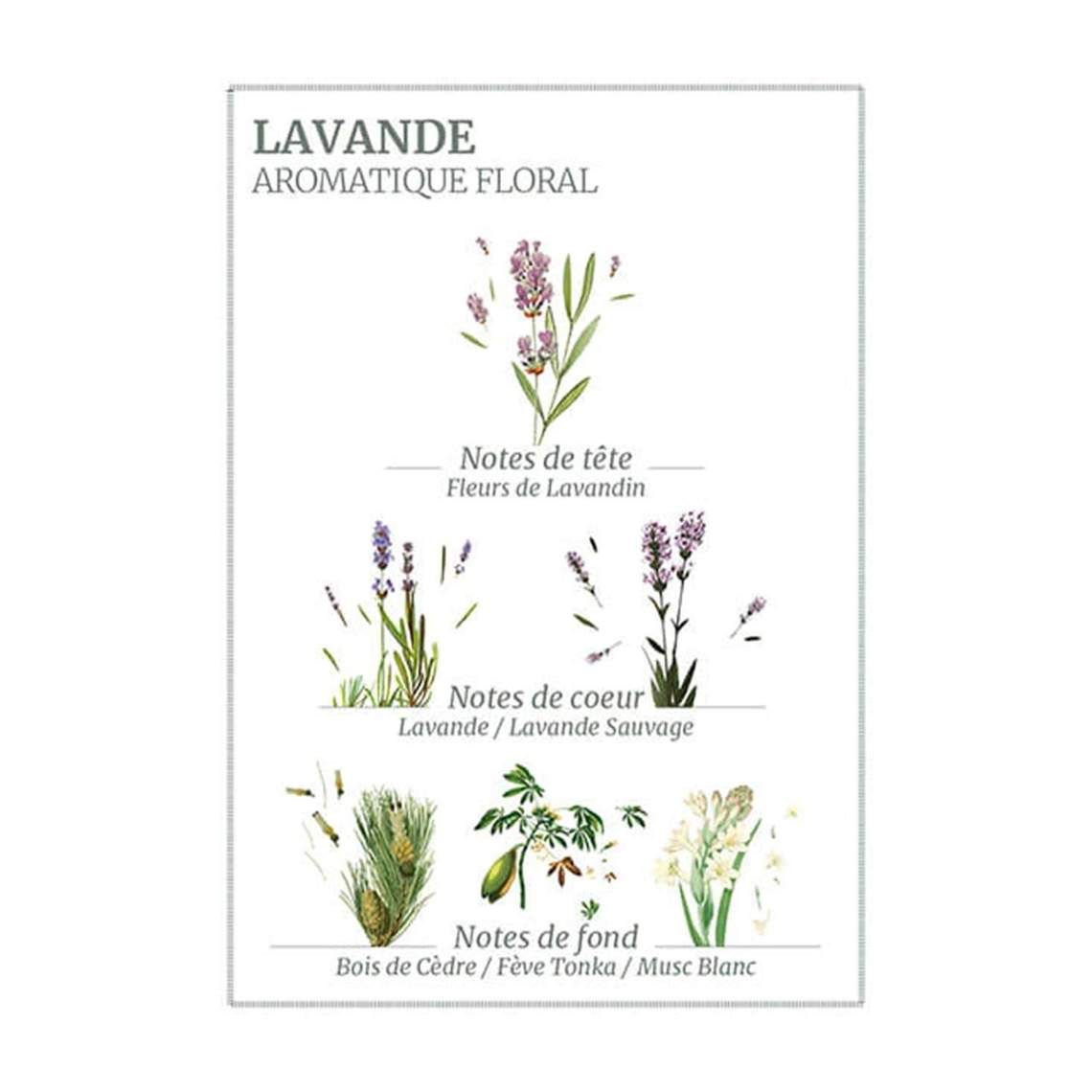 Lavender Hand Cream 75ml