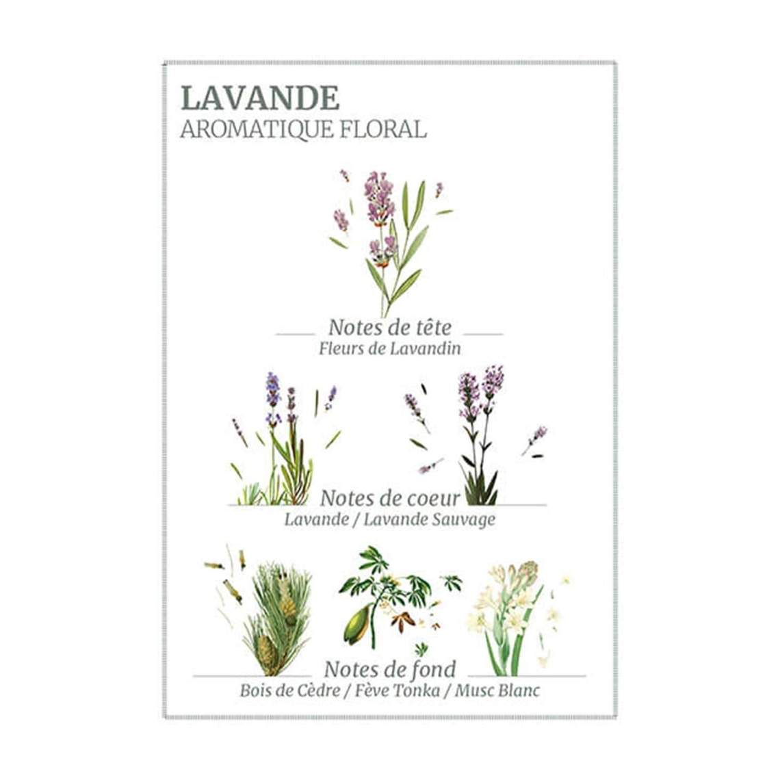 Lavender Glass Marseille Liquid Soap