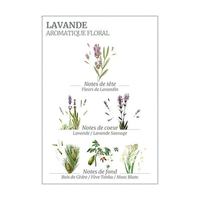 Lavender Glass Marseille Liquid Soap