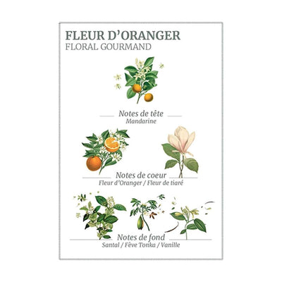 Orange Blossom Marseille Liquid Soap