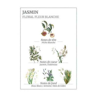 Precious Jasmine Hand Cream - 75ml
