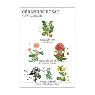 Rose Geranium Hand Cream - 75ml